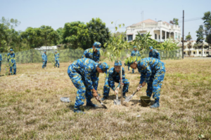 A young tree is being planted in a field by several people. In the distance are mature trees and a white building.